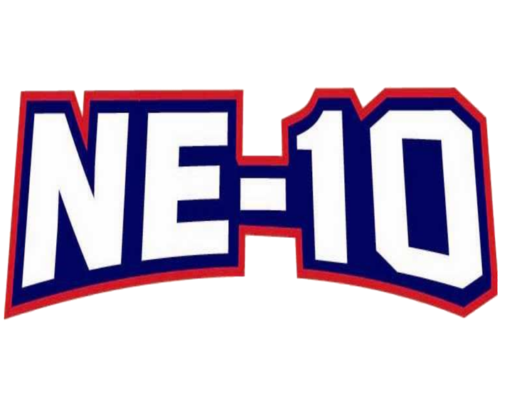 logo Northeast-10 Conference