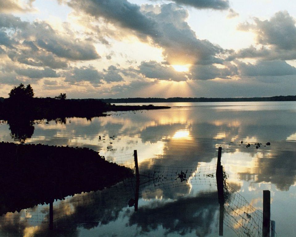 free photos, Florida sunrise