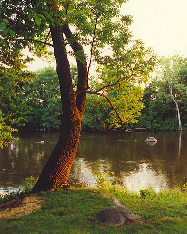 free photos, River in summer