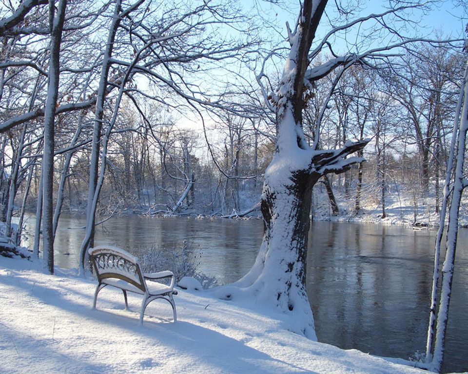 free photos, Snowy bench