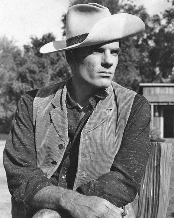 Texas John Slaughter; Famous cowboy character in Texas John Slaughter