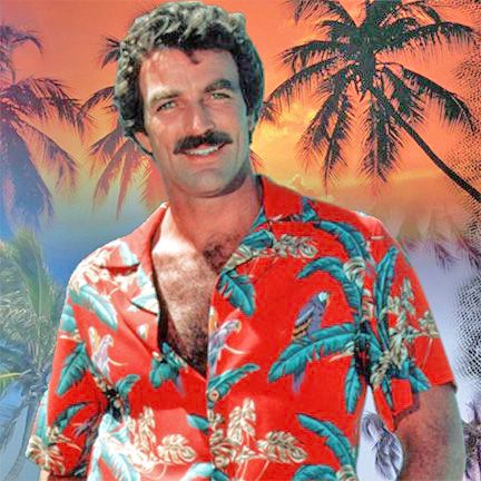 Thomas Magnum; private detective