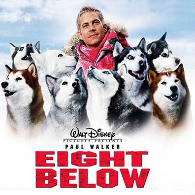 8 Below; famous dog in movie, Eight Below