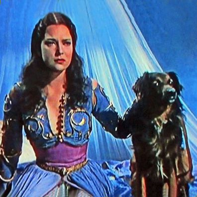 Abu; famous dog in movie, The Thief of Bagdad