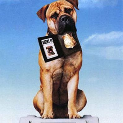 Agent 11; famous dog in movie, See Spot Run