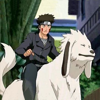 Akamaru; famous dog in TV, comics, Naruto