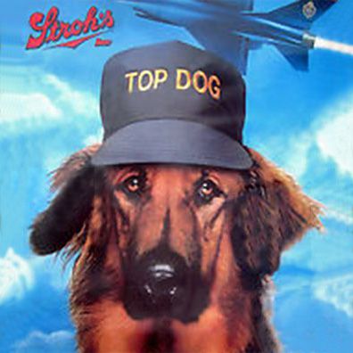 Alex; famous dog in ads, Stroh's beer
