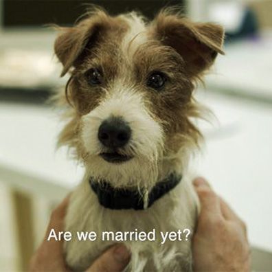 Arthur; famous dog in movie, Beginners