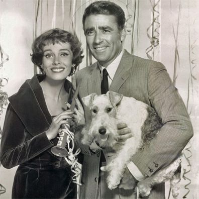 Asta; famous dog in TV, The Thin Man