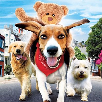 Aussie; famous dog in movie, Aussie and Ted's Great Adventure