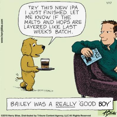 famous dog Bailey