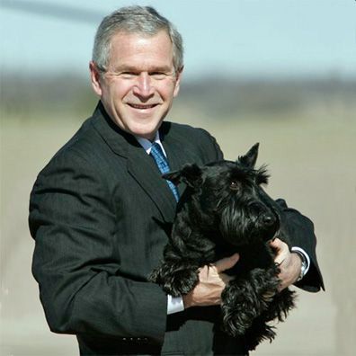 Barney; famous dog in President George W. Bush
