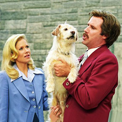 Baxter; famous dog in movie, Anchorman: The Legend of Ron Burgundy