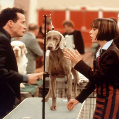 Beatrice; famous dog in movie, Best in Show