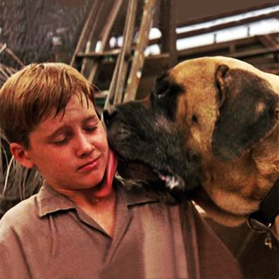 Beast; famous dog in movie, The Sandlot