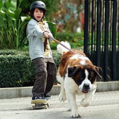 Beethoven; famous dog in movie, Beethoven