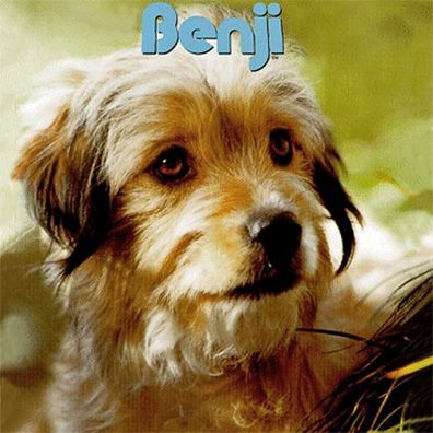 famous dog Benji