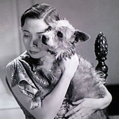 Betty; famous dog in movie, Under Cover of Night