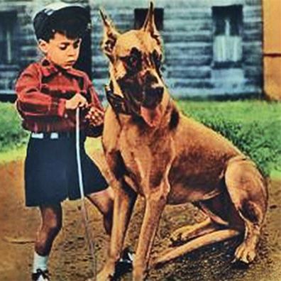 Big Jeeter; famous dog in movie, Lauta mancia