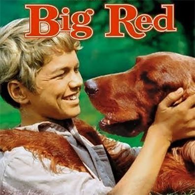Big Red; famous dog in movie, book, Big Red