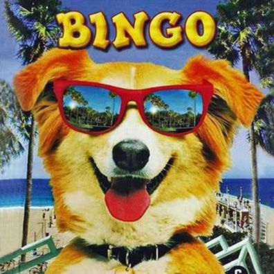 Bingo; famous dog in movie, Bingo!