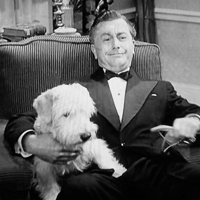 Bitsy; famous dog in movie, H. M. Pulham Esq.