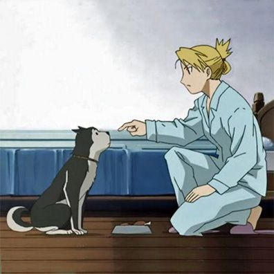 Black Hayate; famous dog in TV, comics, Fullmetal Alchemist