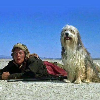 Blood; famous dog in movie, A Boy and His Dog