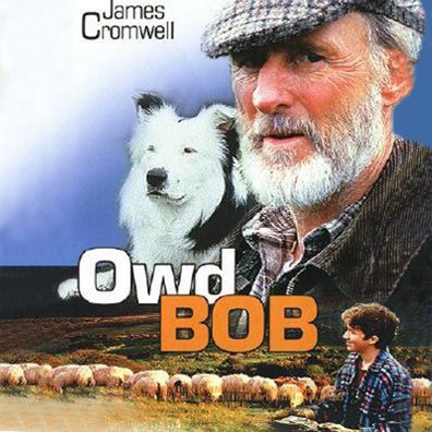 Bob; famous dog in movie, book, Owd Bob