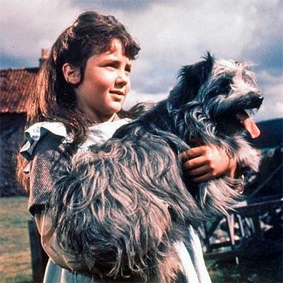 Greyfriars Bobby; famous dog in movie, book, Greyfriars Bobby