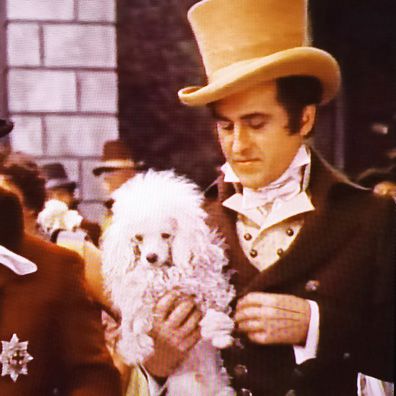 Bonaparte; famous dog in movie, Beau Brumell