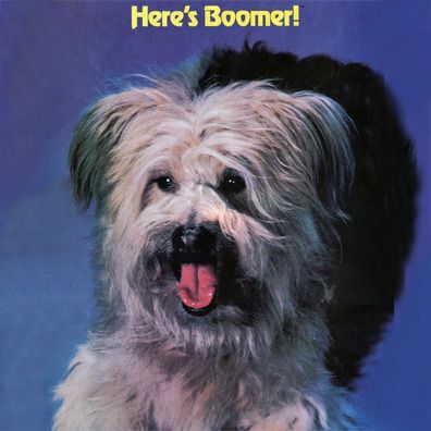 Boomer; famous dog in TV, Here's Boomer