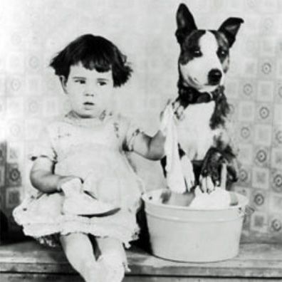 Brownie; famous dog in Brownie's Little Venus