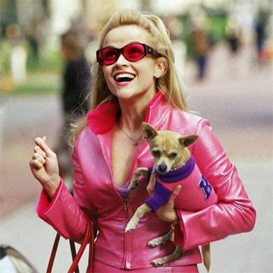 Bruiser; famous dog in movie, Legally Blonde