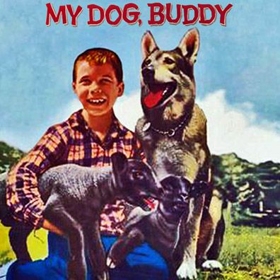 Buddy; famous dog in movie, My Dog Buddy