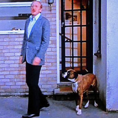 Buller; famous dog in movie, book, The Human Factor