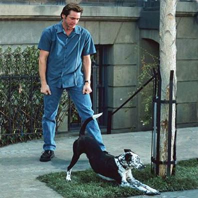 Buster; famous dog in movie, Bruce Almighty