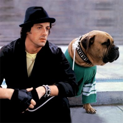 Butkus; famous dog in movie, Rocky