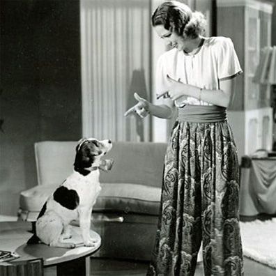 Buttons; famous dog in movie, Lady Be Good