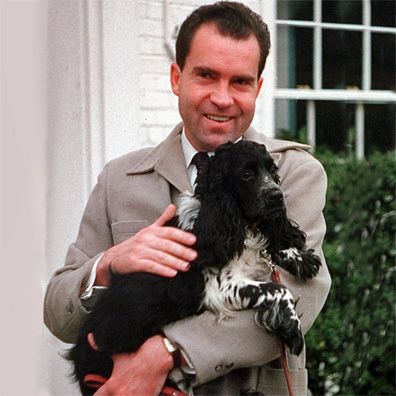 Checkers; famous dog in President Richard Nixon