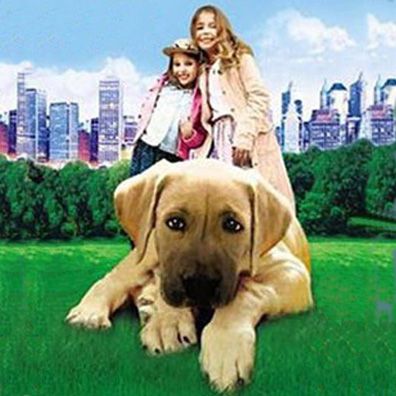 Chestnut; famous dog in movie, Chestnut: Hero Of Central Park