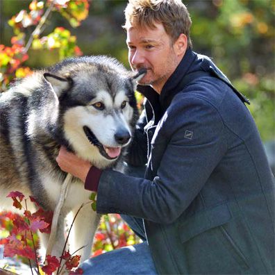 Chinook; famous dog in movie, Hero Dog: The Journey Home