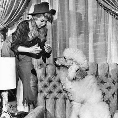 Claude; famous dog in TV, The Beverly Hillbillies