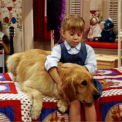 Comet; famous dog in TV, Full House