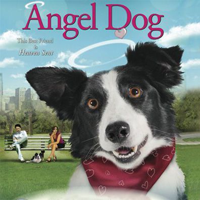 Cooper; famous dog in movie, Angel Dog