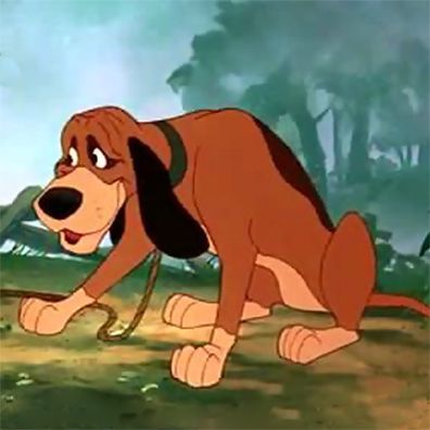 Copper; famous dog in movie, book, The Fox and the Hound