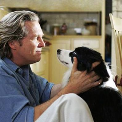 Devon; famous dog in movie, A Dog Year