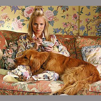 Digby; famous dog in TV, Pushing Daisies