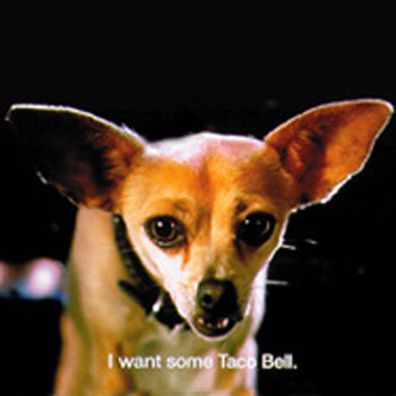 Dinky; famous dog in ads, Taco Bell