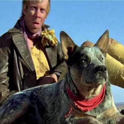 Dog; famous dog in movie, Road Warrior